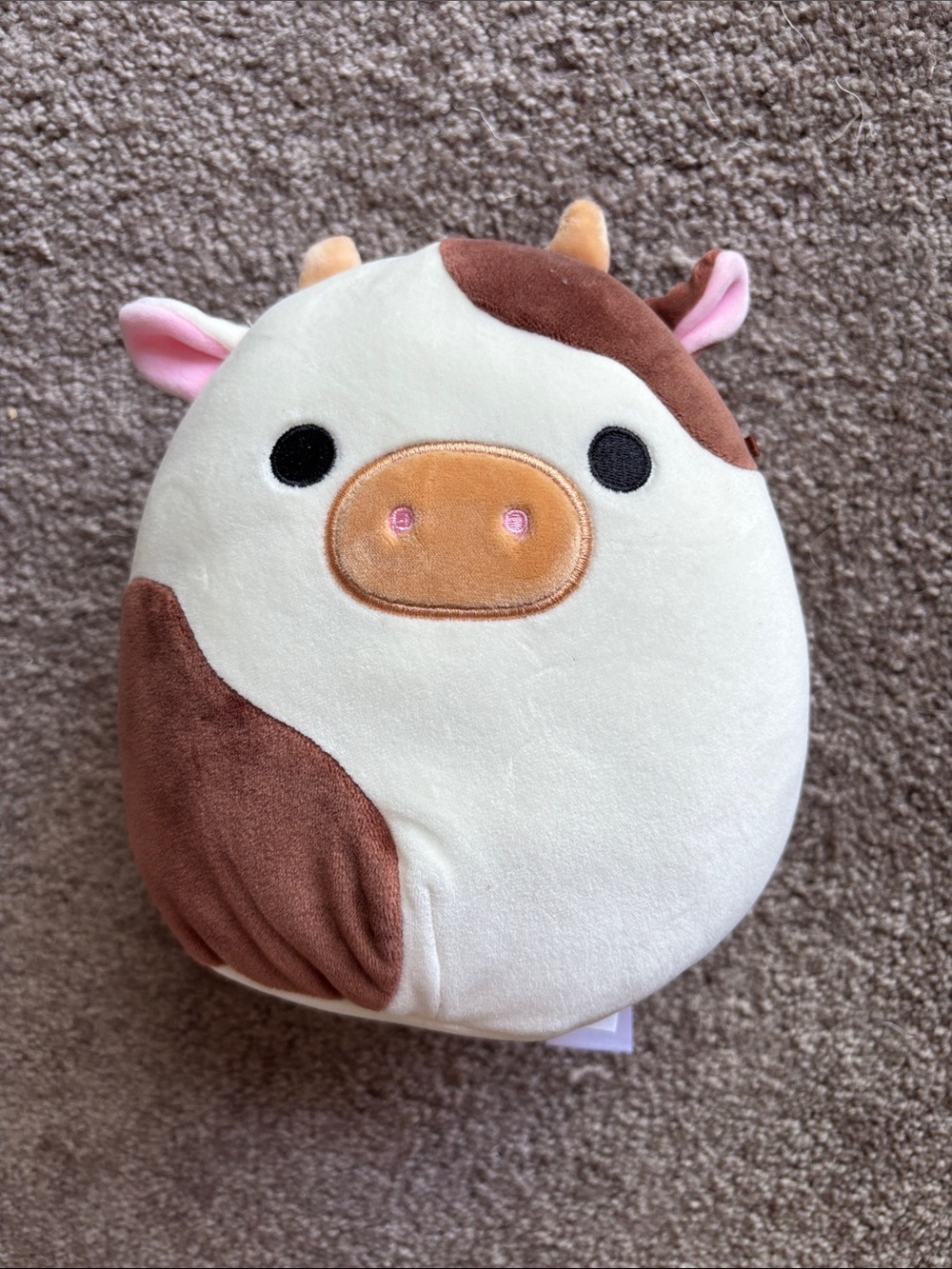 Brown Cow Squishmallow